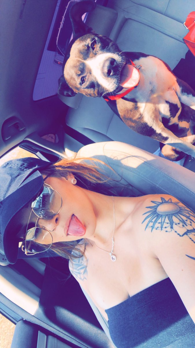 ayeejayybae's tweet photo. I’m officially a dog mom🖤 meet Nala Jade 💙 https://t.co/kwq3fBaVhf