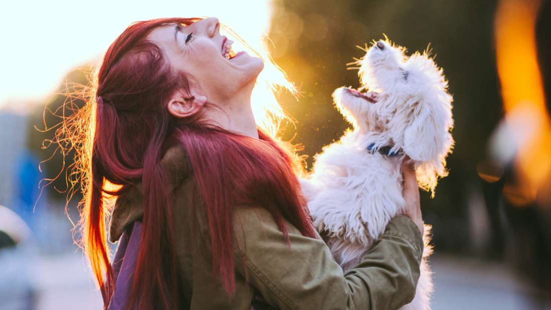 mental_floss's tweet photo. Are Dogs Empathetic? It Depends on the Individual Dog — https://t.co/g9ExF2RsuV https://t.co/Np8lIeTbHl