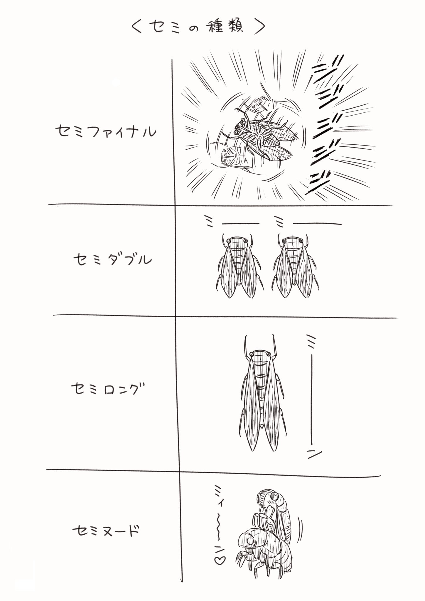 Twitter இல コハラモトシ イラスト依頼受付中 色々なセミがいるなーと思ったので描きました Twitter இல コハラモトシ イラスト依頼受付中 色々なセミがいるなーと思ったので描きました