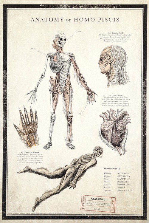 CineHeroes tweet media