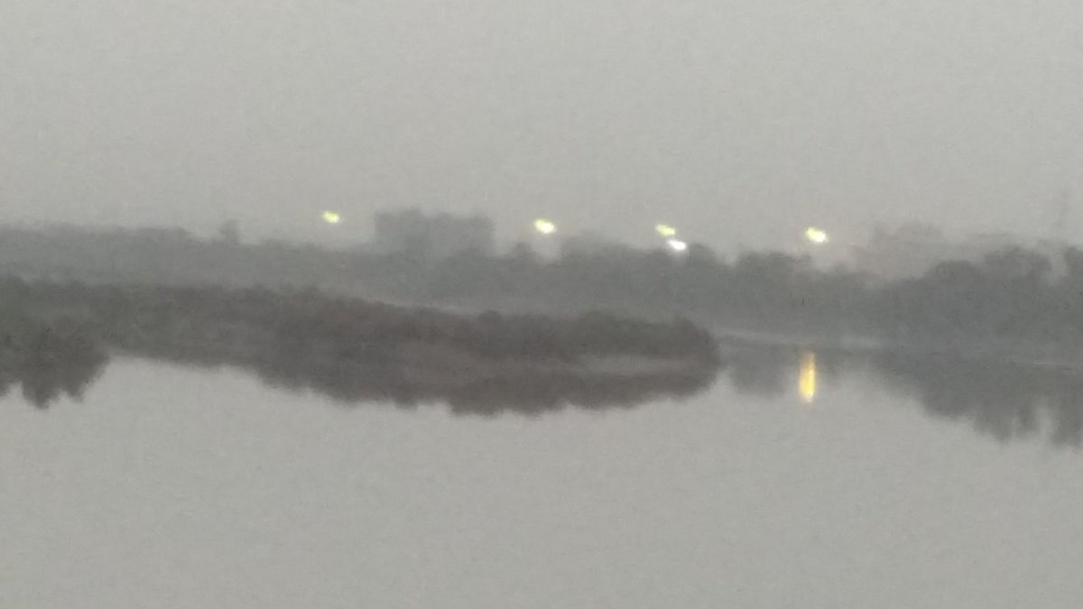 o_positive_'s tweet image. Good Evening Ben 💐
#MClick from Bank of #Yamuna
This cute floating piece of land has blocked half of the river off late.