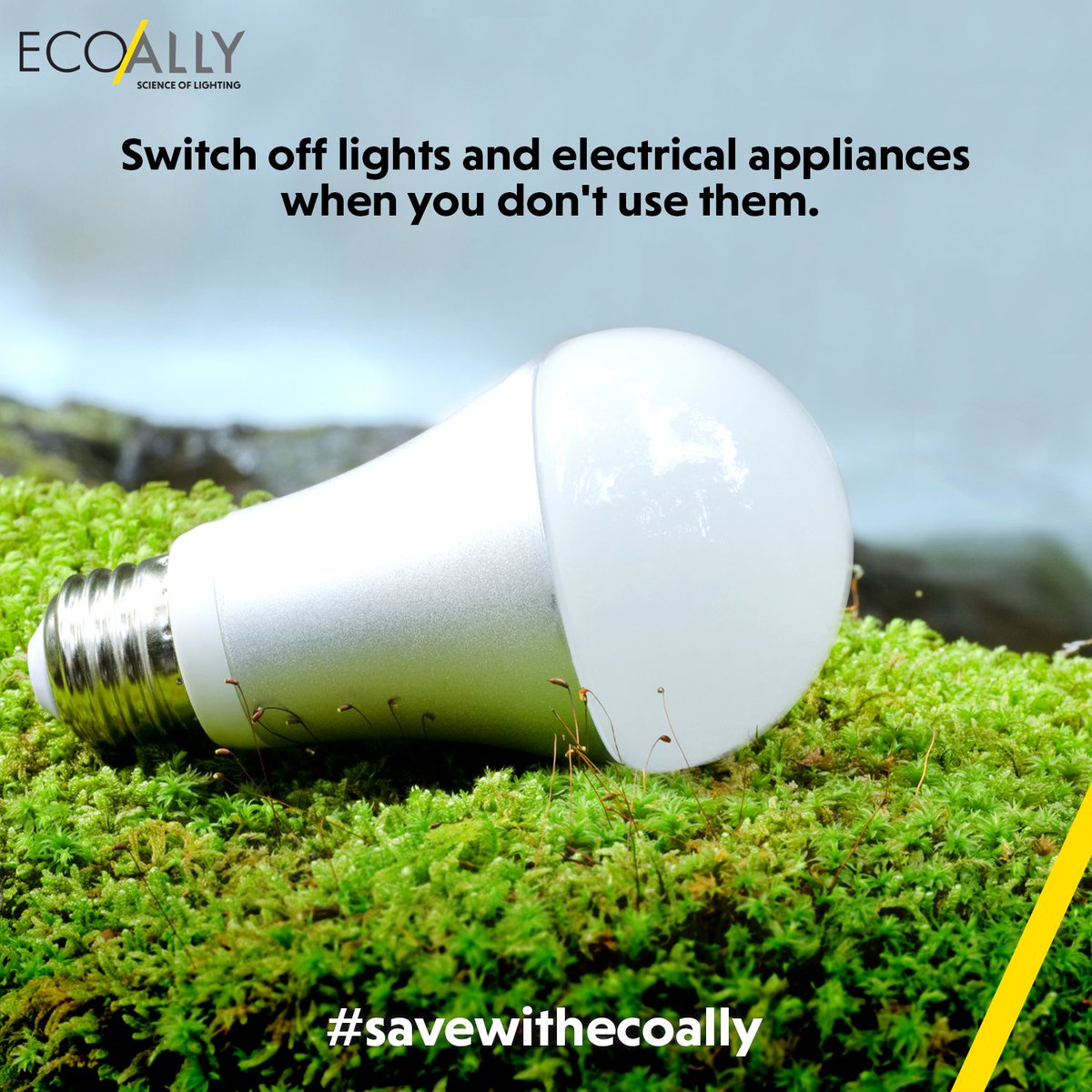 Throughout August we will be sharing with you, tips on how to save energy as there are many things you can do to keep your energy bills down! Tip 1: Switch off lights and electrical appliances when you don't use them. #savewithecoally