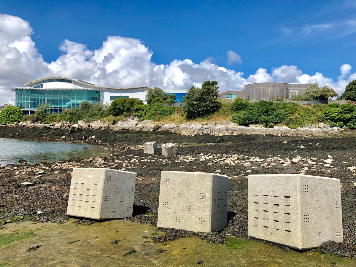 Louise_Firth_IE's tweet photo. Our #BIOBLOCKS are now go at #TeatsHill! Thank you to @arc_marine for creating &amp; deploying the units and to @plymouthcc @NMAPlymouth and @PlymouthMarine for getting this #EcoEngineering project off the ground. Let's see what interesting marine #biodiversity takes up residence! https://t.co/KjsUaep0Np