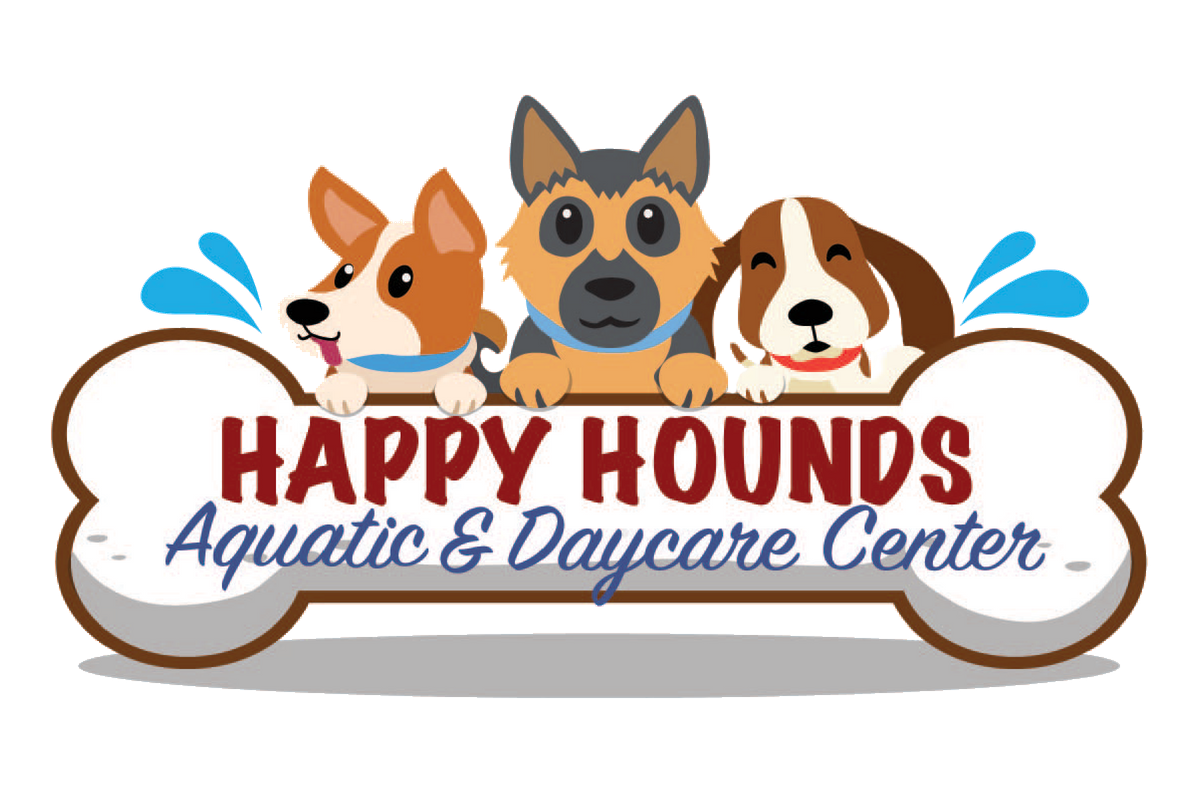happy hounds aquatic & daycare
