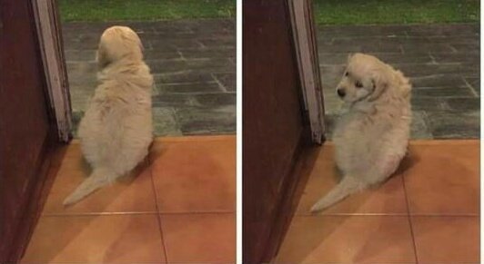 alinsouza96's tweet image. #SegundaDetremuraSdv

- me dá um beijo?
- não 
- tá com raiva? 
- não 
- comprei comida, você quer? 
-