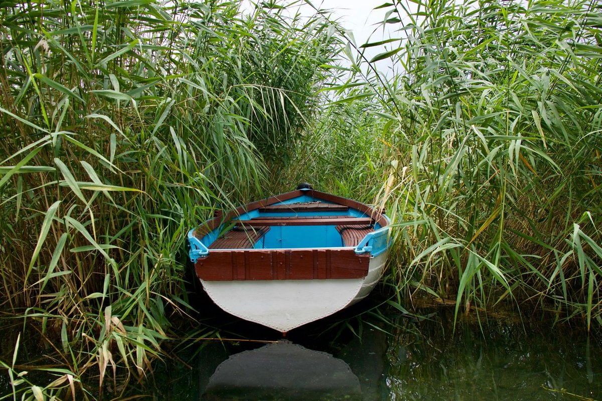 Boat in reeds, Lake Ohrid
I dunno. I liked it.
#travel #travelphotography #photography #roamerwanderernomadvagaond #wanderlust #adventureseeker #goexplore #wonderfulplaces #openmyworld #lovetotravel #adventurethatislife #roamtheplanet #workandtravel #nomadiclife #seekmoments