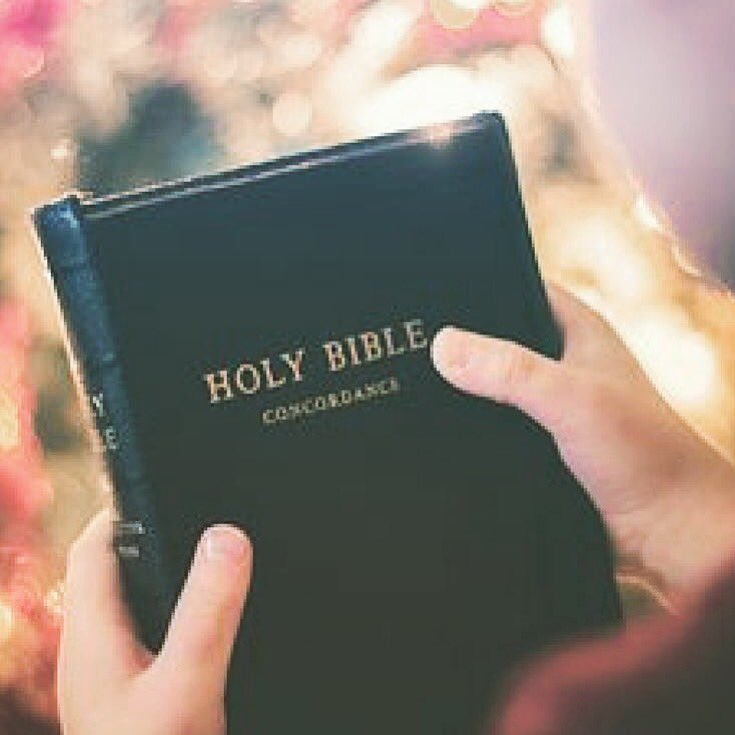 karentm59's tweet photo. Be diligent to present yourself approved to God as a workman who does not need to be ashamed, accurately handling the word of #truth. - 2 Timothy 2:15 https://t.co/uNzx8hvwP7