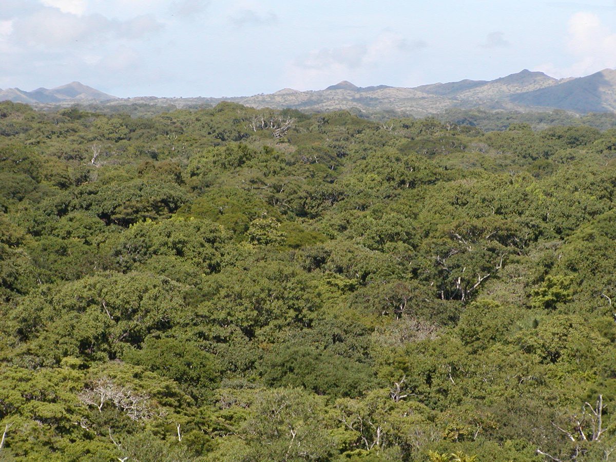Biological Monitoring in