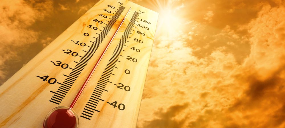 TAPtalk1's tweet photo. And the heat goes on....
Here are TAP's top tips for coping with the heat https://t.co/POWjJjJNVJ
#TAPbulletin https://t.co/4IAmsJCW24