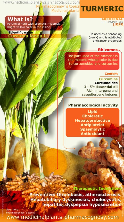 Cognosy2018's tweet photo. Benefits &amp; uses of hashtag#Turmeric#
  hashtag#Pharmacological activity
hashtag#Pharmacognosy2018# Bangkok,Thailand https://t.co/NC6eSLSEJ8