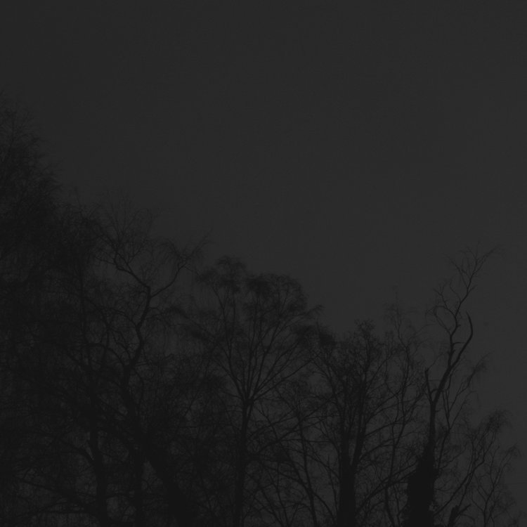 Lukasz Kubicki's photograph - He touch my hand, and whispered to my ear - has  been selected as Best in Show for the Northern Light, Proximity and Distance exhibition. Congratulations to Lukasz - lukaszkubicki.com