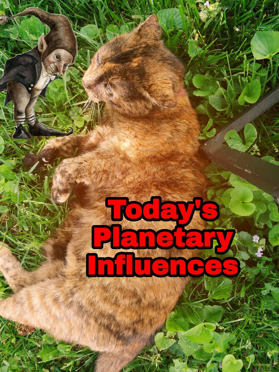 KathrynKauffma2's tweet photo. Monday August 6th
The moon is 33% waning in the sign of Gemini. Contemplation takes hold today and can be rather somber if you allow it. Don't let regret take over. #psychicinlexngton #lexingtonkentucky #astrology #mooninfluences #moonchanges https://t.co/LyVycy7tpQ