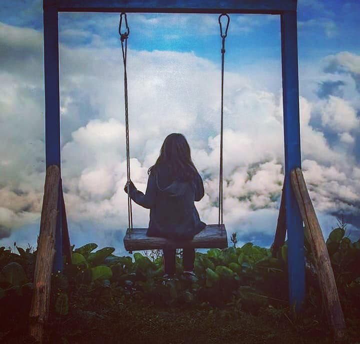 يُخيفني هذا الهدوء ، عدم اڪتراثي للأمور التي ڪانت تصيبني بالجنون شعوري بلا فرق بين ماحدث وما لم يحدث قدرتي الڪبيرة على الإستغناء عن أيّ شيء  لأن أمرًا عزيزًا انطفئ بداخلي