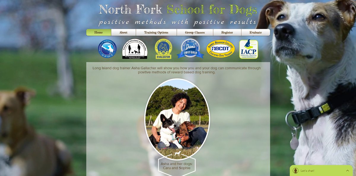 WildWizardWeb's tweet image. I am proud to announce the launch of the new North Fork School for Dogs website for legendary dog trainer Asha Gallacher! northforkdogs.com

If you need a mobile friendly website, please contact me:
(929)-336-9712
shawn@velxlabny.com.

velxlabny.com