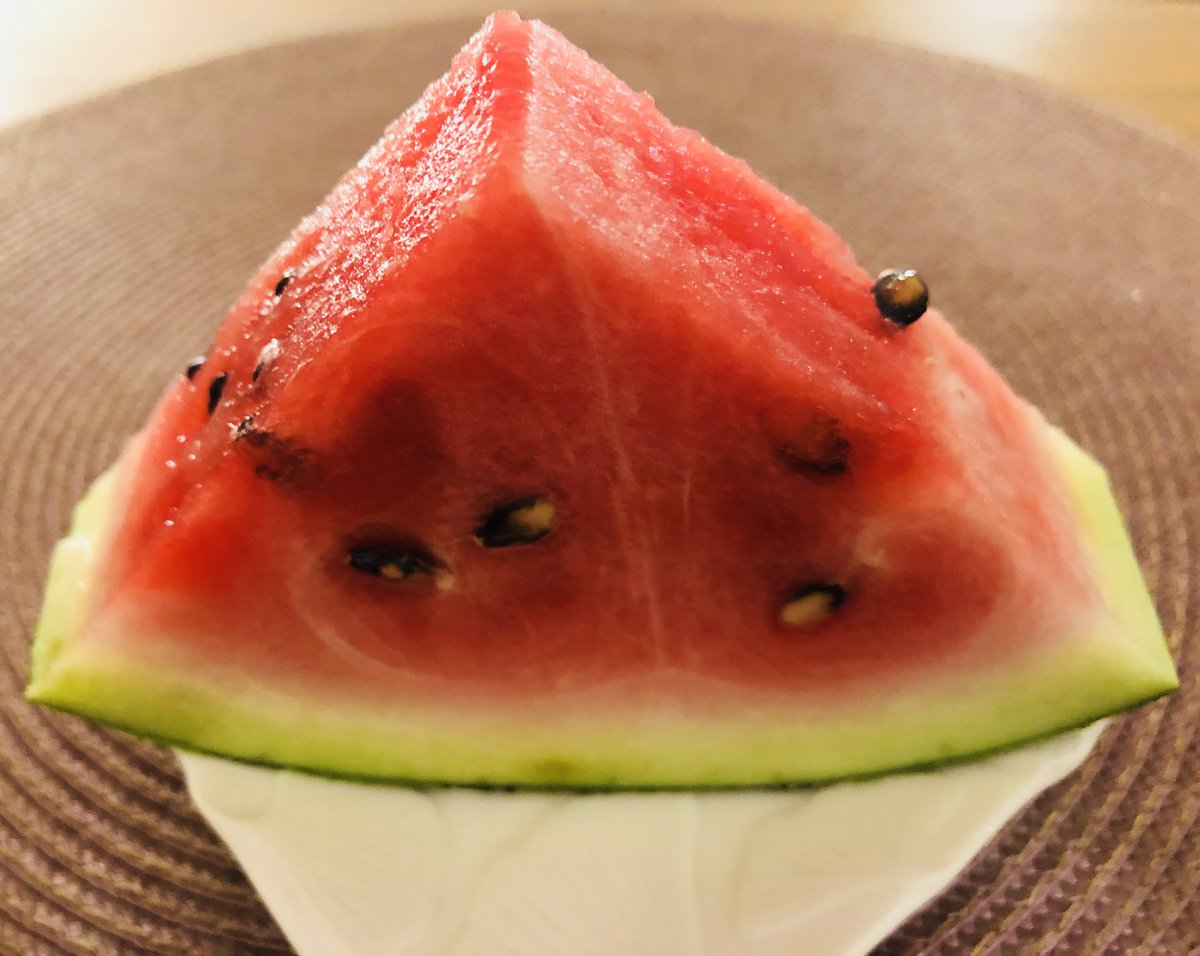 高坂はる香 音楽ライター 両親が家庭菜園で初めて収穫したスイカ 食べごろは今か今かと 連日二人で穴があくほど見つめ続けたらしい 果たしてスイカは喜んでいたか それともいい迷惑だったか とりあえずグレずに大きくみずみずしく育った