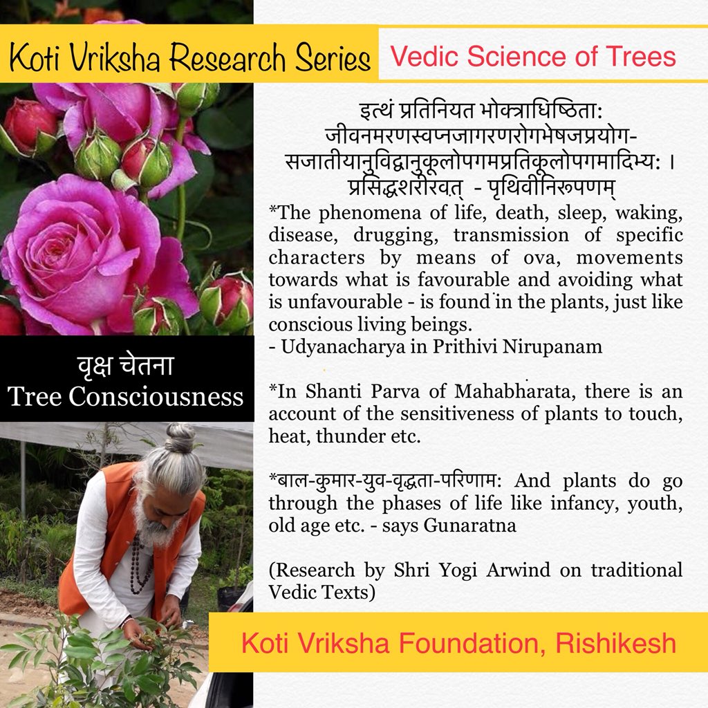 KotiVriksha's tweet photo. Trees are as conscious as other living beings. They are sensitive to touch, light, day and night etc. Say the Vedic Scriptures.
#TreeConsciousness
#KotiVriksha Research Series by @yogi_arwind https://t.co/hfC6BeqRFX
