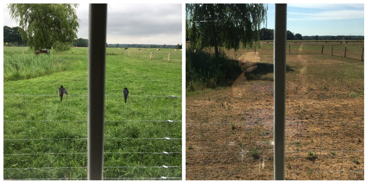 Nou... mijn uitzicht is wel veranderd in de afgelopen maanden...