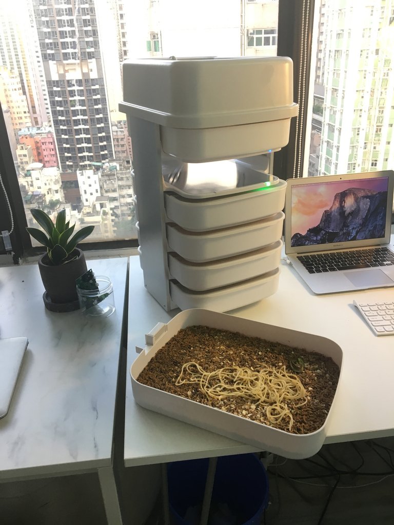 Livinfarms's tweet photo. We are feeding our mealworms with spaghetti and avocado skins and they like it! Get our Hive and start farming like us: https://t.co/Z3xoPaq9V6
are YOU #farming yet? #entomophagy #edibleinsects #entovegan #bugappetit #futurefood https://t.co/FlnCVPIbs2