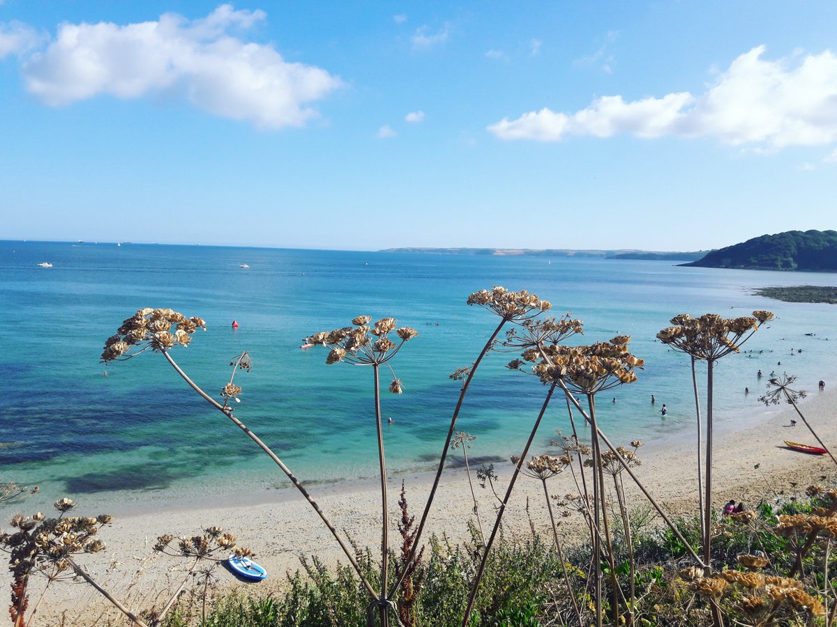 FalmouthTownUK's tweet photo. The best kind of Monday blues... look at those gorgeous colours at Gyllyngvase Beach #LoveFalmouth

📸Instagram: jessiquita0 https://t.co/hrhhhnh64F