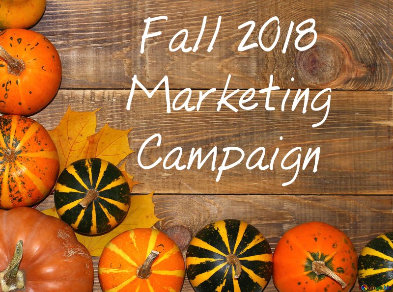 Get your Fall Campaign ready to go before the new season is in full swing! Contact us today for a custom (and affordable!) quote!