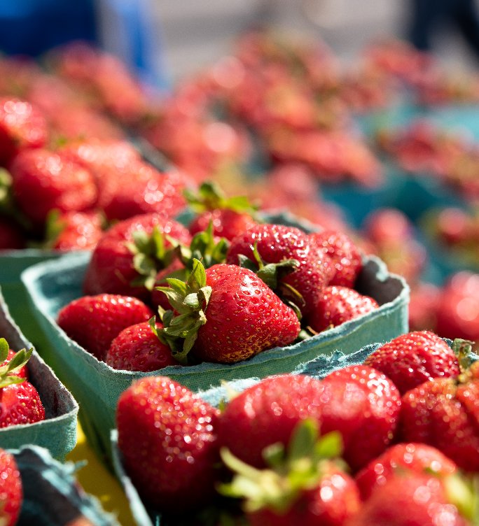 HealthChefLinds's tweet photo. It’s that time of year, and strawberries are a tasty treat that pack a big nutritional punch of vitamin C. Right now, you’ll find them all over the Farm Cut catering menu, but they’re also an easy thing to incorporate into any meal at home! https://t.co/4fe5qkOVhf