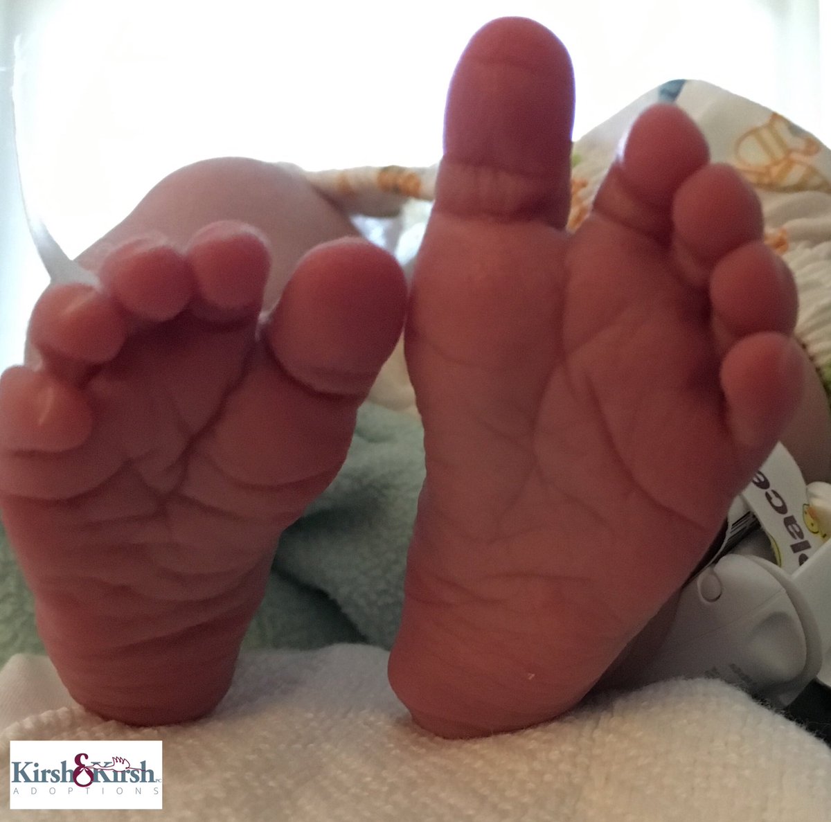 KirshandKirsh's tweet photo. Mom & dad just met their baby girl for the first time! โค๏ธ
โบ๏ธ https://t.co/SZeVub4Czu
#indianadoption #indiana #adoption #adoptionindiana #adoptionattorney #adoptionagency #kirshadoption #openadoption #birthmom #birthmomma #birthmomproud #birthmomsrock #expectantmom https://t.co/Epv4NkvZQY