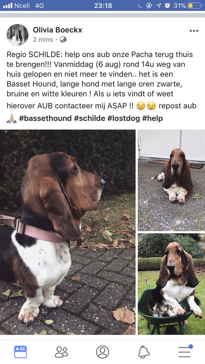 PLEASE HELP IN REGIO SCHILDE