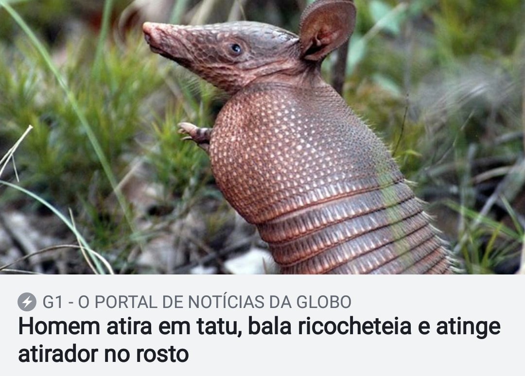 h1gh_princess's tweet photo. notícias boas demais para serem lidas rapidamente https://t.co/O0mrXVdz7u