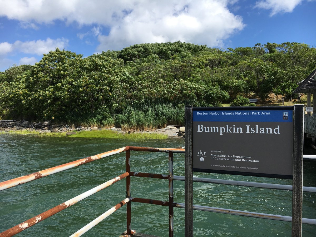 MassDCR's tweet photo. Bumpkin Island is a whole new world to explore & just minutes on the Boston Harbor Ferry. Rich with centuries of fascinating history and breathtaking scenes of the harbor and the city sky line. Come for a day trip or a weekend of beach side camping #MoreRoomForActivities https://t.co/Kmx8m7Yalx