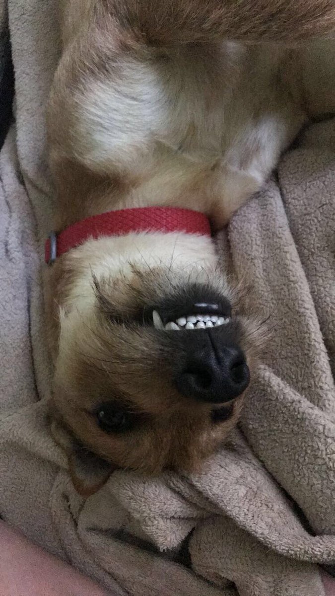 Megan_Alsop_'s tweet photo. For all those Monday blues https://t.co/Y4yp5v8G6A