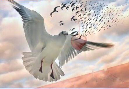 • Aşka yanmalı can dediğin. Ya cânan olmalı, yada canını almalı. Yâr diyemezsinki herkese, içindeki yaran olmalı. Herkesinde bir yüreği vardır amma, yürek dediğin bir başka yanmalı. (Mevlana)