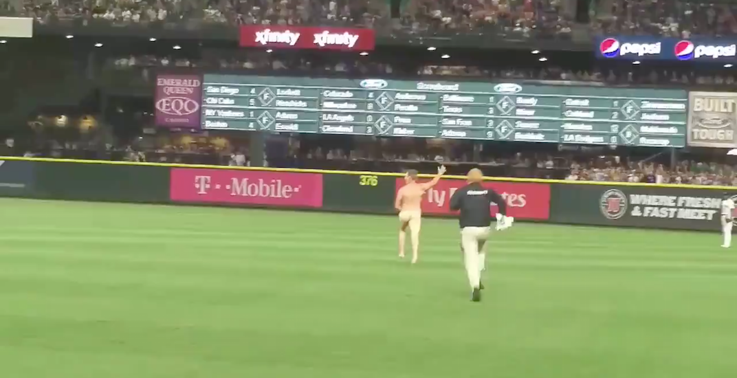 Streaker who interrupted baseball game could get deported for his naked run