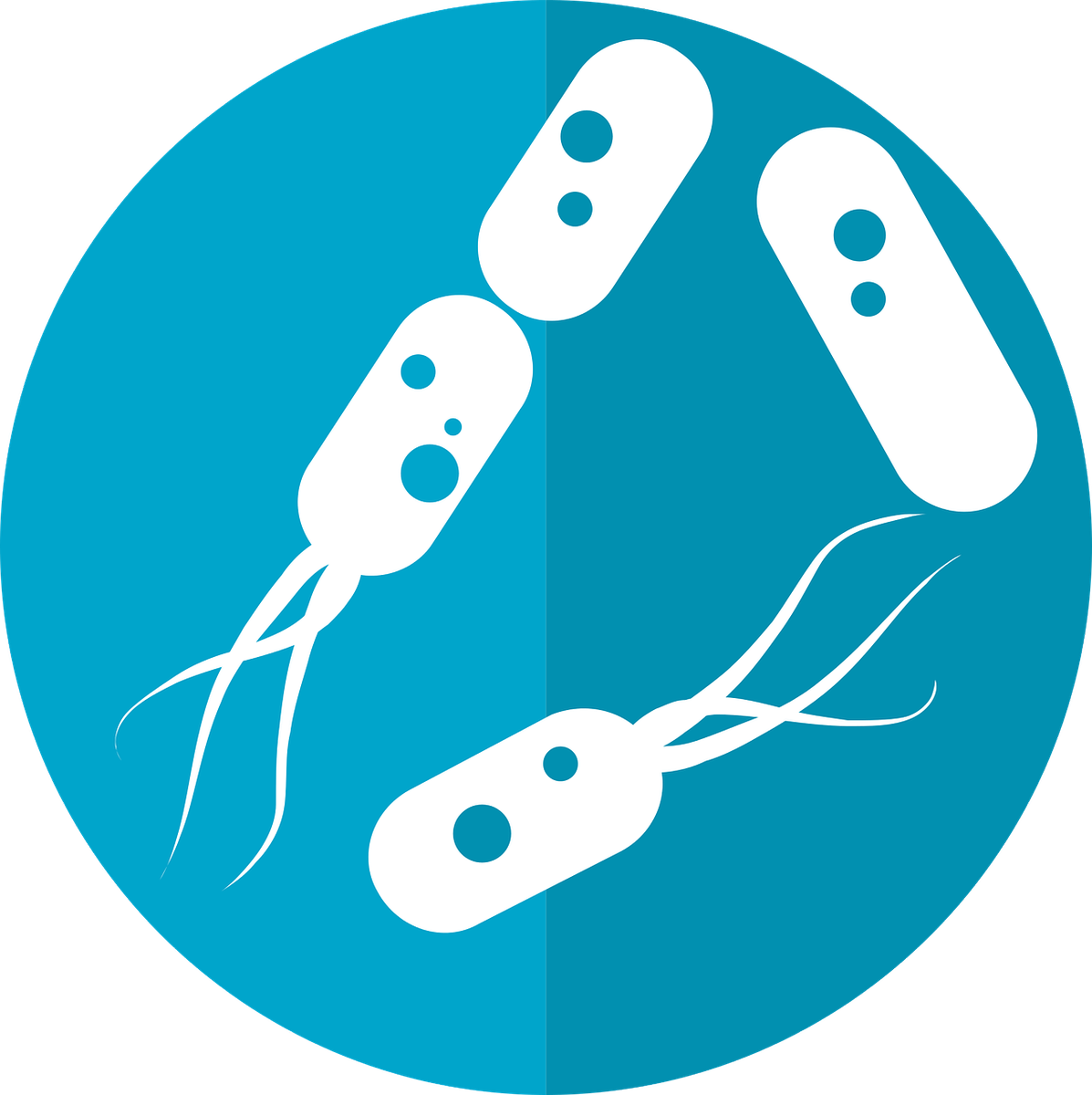 What do you know about gut microbiome and cancer? An Imperial collaboration is interested in the public and patients' knowledge of these. Please complete this short survey here:   imperial.eu.qualtrics.com/jfe/form/SV_3J…