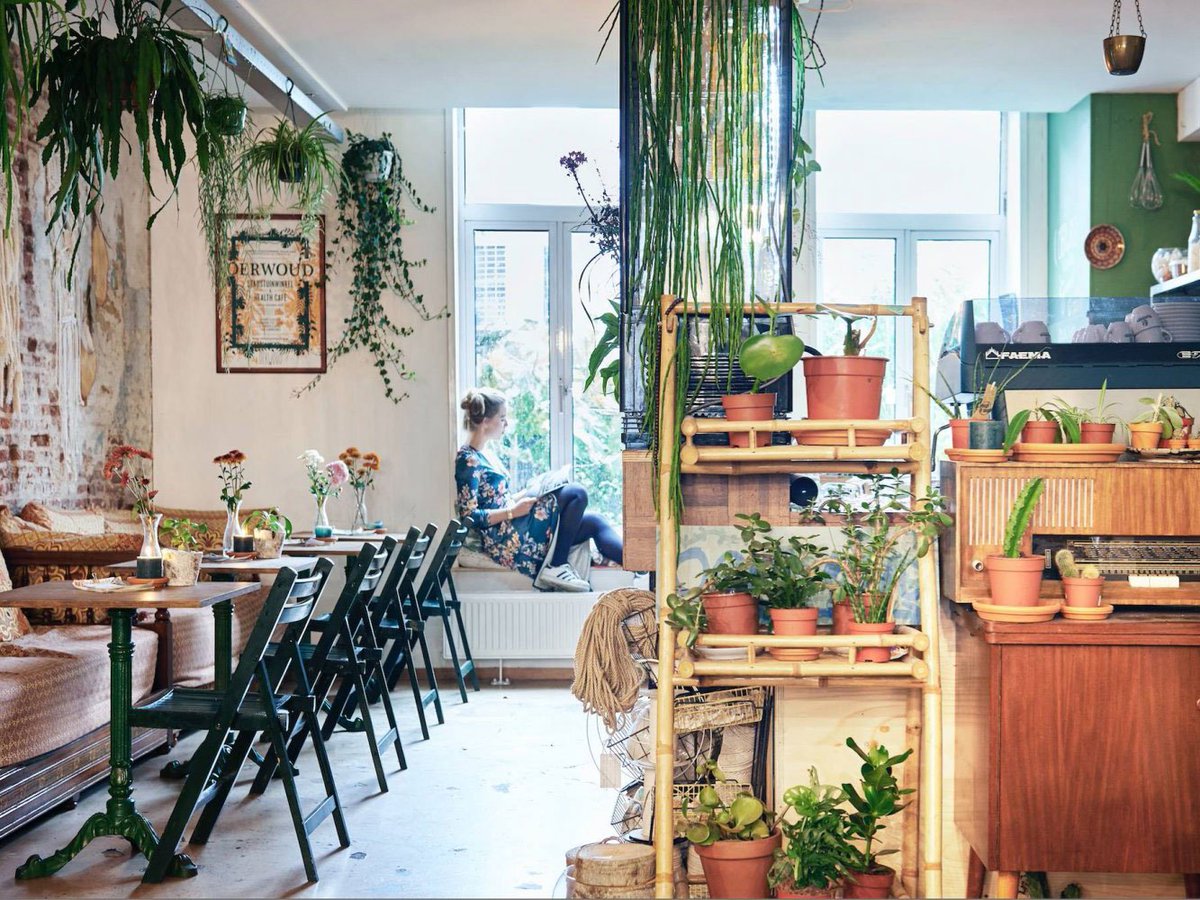 crossmarks's tweet image. MUST SEE: Oerwoud, stadstuinwinkel en health café in de binnenstad van Den Bosch... bit.ly/2M3s7OW