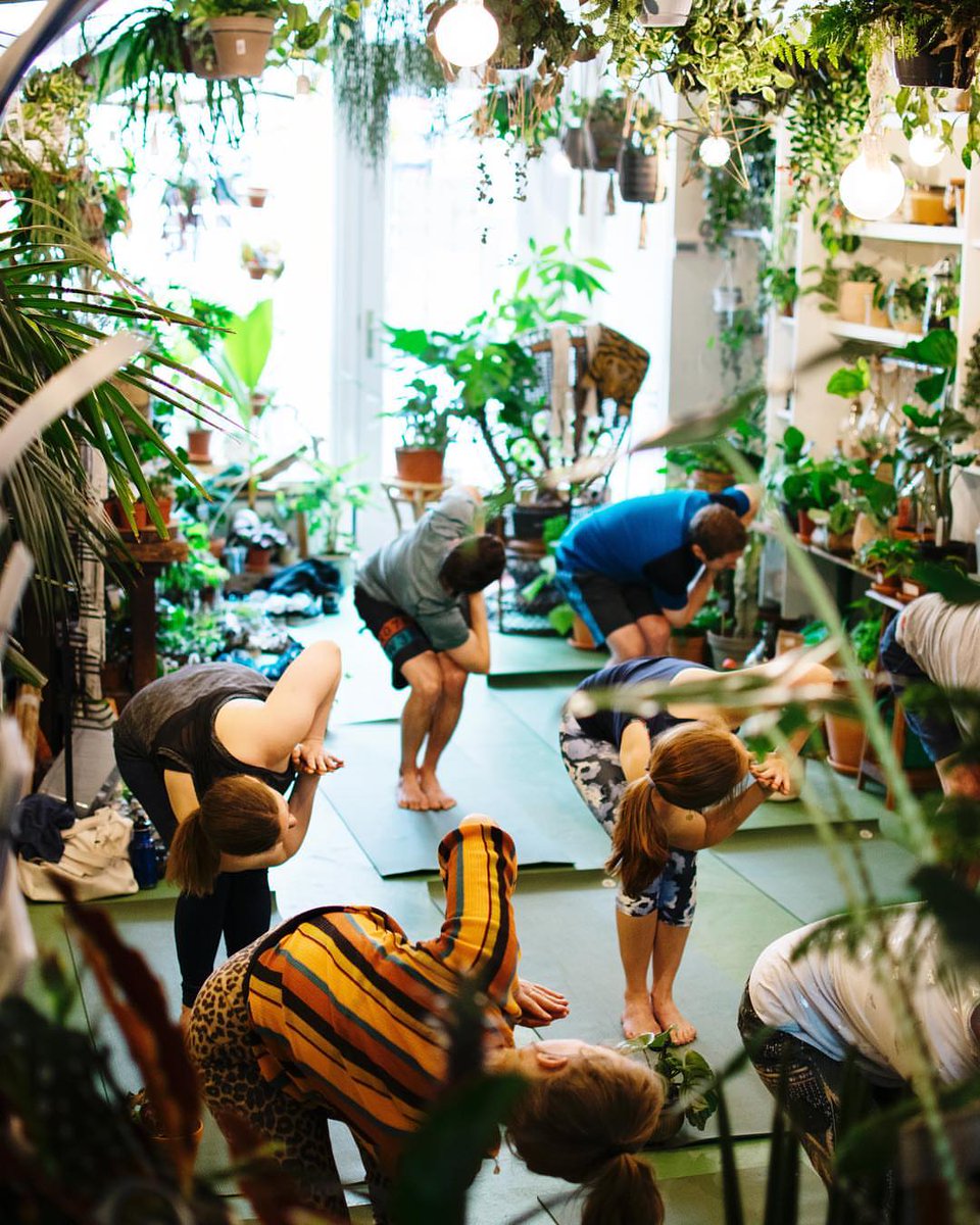 crossmarks's tweet image. MUST SEE: Oerwoud, stadstuinwinkel en health café in de binnenstad van Den Bosch... bit.ly/2M3s7OW