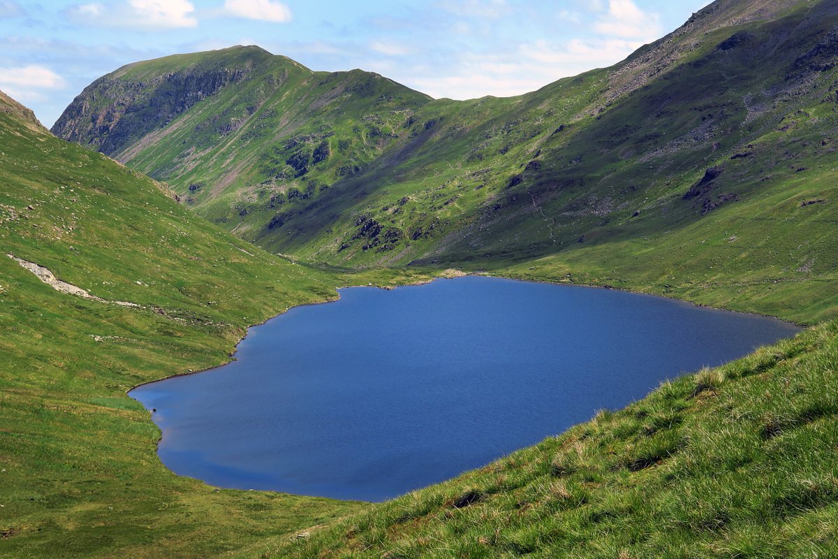 Rob Rambler tweet media