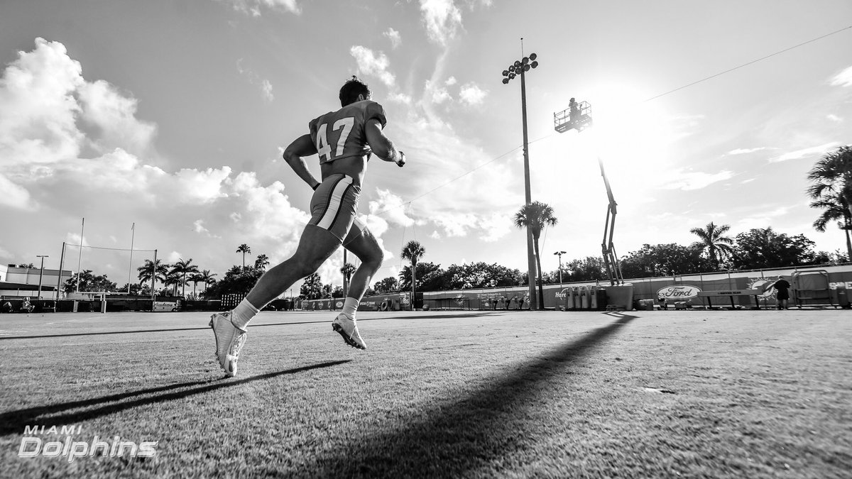 MiamiDolphins's tweet image. Working under the sun. #FinsUp