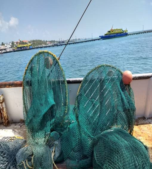 PROFEPA_Mx's tweet image. Inspecciona @PROFEPA_MX Dispositivos Excluidores de Tortugas Marinas #DETS instalados en embarcaciones camaroneras en Quintana Roo ow.ly/ee4i30lh8M3