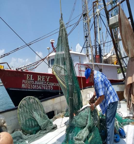 PROFEPA_Mx's tweet image. Inspecciona @PROFEPA_MX Dispositivos Excluidores de Tortugas Marinas #DETS instalados en embarcaciones camaroneras en Quintana Roo ow.ly/ee4i30lh8M3