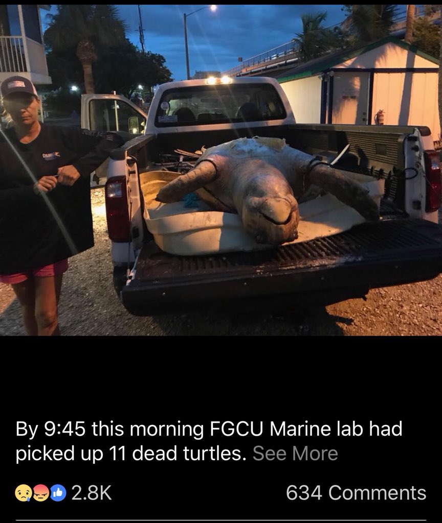 ShopZest's tweet photo. Governor Rick Scott, what are you doing about this? @FLGovScott @scottforflorida #saveoursealife #savetheocean I’ve got a great idea, maybe you and your buddies can stop draining all the contaminated water and pollutants into the ocean! @Ecogreenco https://t.co/KV5TWq7p3H