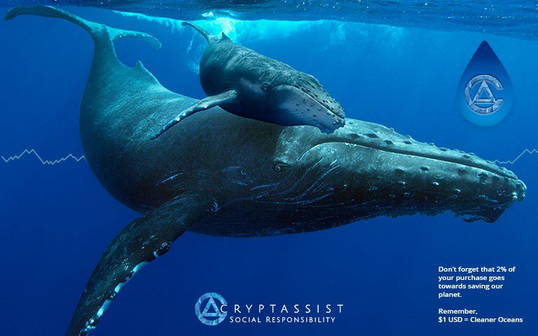 newcryptosphere's tweet photo. #ICO #bonus Cryptassist Corporate Social Responsibility -> donate back to the environment https://t.co/kbCUYTslux 
#FelizLunes 
#وش_يعني_اسمك 
#MondayMotivation 
#FelizCumpleañosBogotá 
#اعتزال_محمد_عبده 
Bologna 
Joël Robuchon 
Vogue 
Calcaterra 
Dolar 5.14 https://t.co/bXzpHuSuCZ