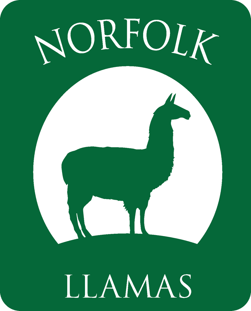 ProjectRocketUK's tweet image. Big shout out to Phil and Julia who open their new llama walking venture soon! check them out norfolkllamas.co.uk