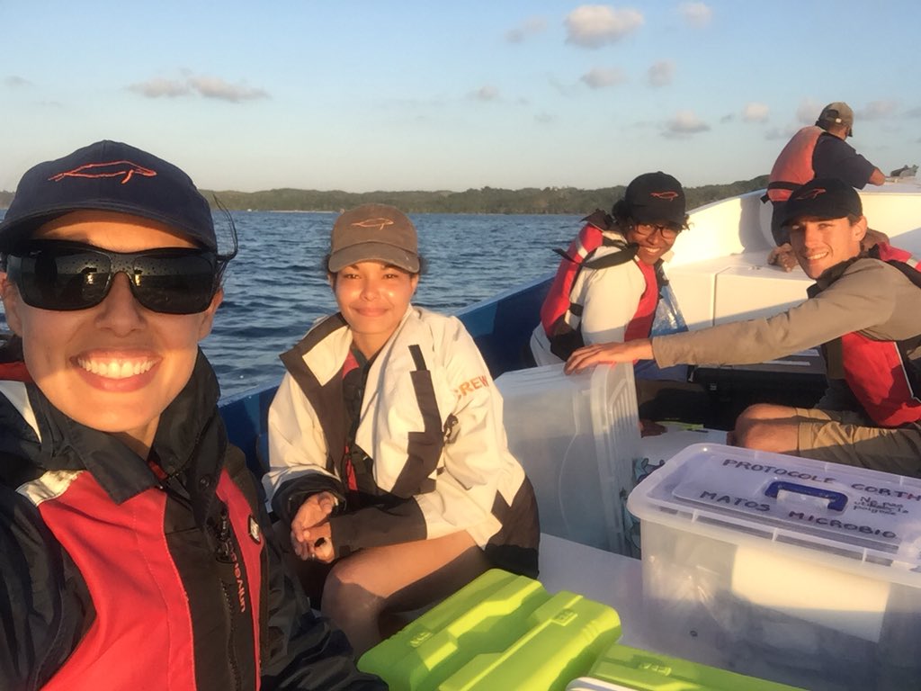 VanessaPirotta's tweet image. Great day of drone action in #Madagascar 🇲🇬 #fieldworkwin #fieldwork 

#whales #research #drone #ocean #whalesnot #boat #whaleon #whale #humpbackwhale