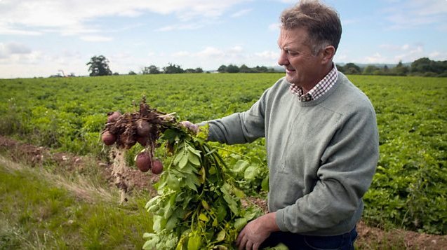 Back by popular demand on Friday 10th August at 10:45am Just Crisps &amp; Just Oil will be appearing on BBC’s ‘The Farmers Country Showdown - Salt &amp; Crisps’.

This gives viewers a great insight into life at Wade Lane Farm and how our crisps are made.

So be sure to tune in!