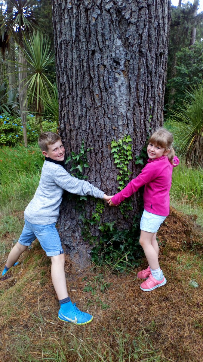sandyzpatterson's tweet photo. Challenge accepted @NationalTrustNI  

#mountstewart #littleranger #strangfordlough @DiscoverNI #treehugger 🌿 🤗 🍃 https://t.co/H1UFwYHDdo