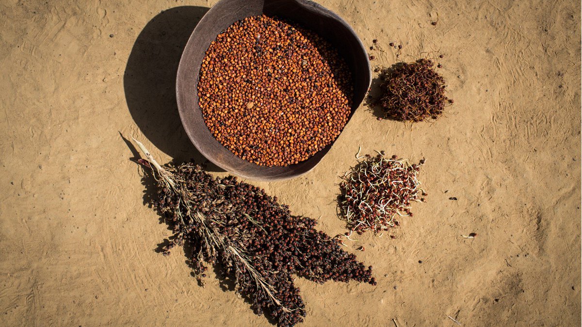 Interested in #WASH and trying new foods? <a href="/wateraid/">WaterAid</a> and @RiverfordDuke are hosting a food-based event, 'Cooking with Water in Burkina Faso' on 15th Oct.