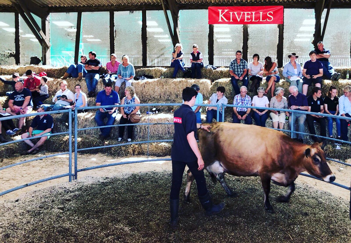 UKJerseys's tweet photo. 5 hours in & trade still going strong at the Hartlandview Dispersal @KivellsRural #jerseycow #teamdairy #dairyqueen #kivells https://t.co/6i5F9pUiT4