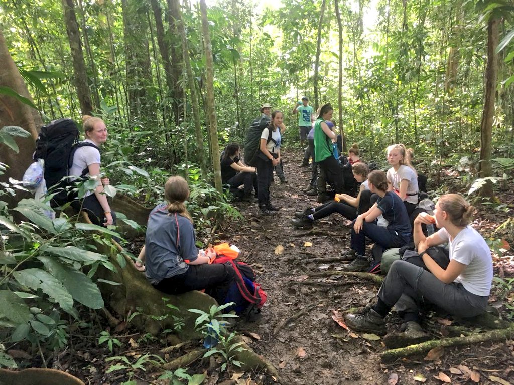 PROYECTOUTDOORS's tweet photo. #SimonLangtongirls during their third day of trekking in #OSAPENINSULA #CostaRica #weareworldchallenge #osatrek #experientialeducation #outdooreducation #adventureeducation https://t.co/bo151IssUl