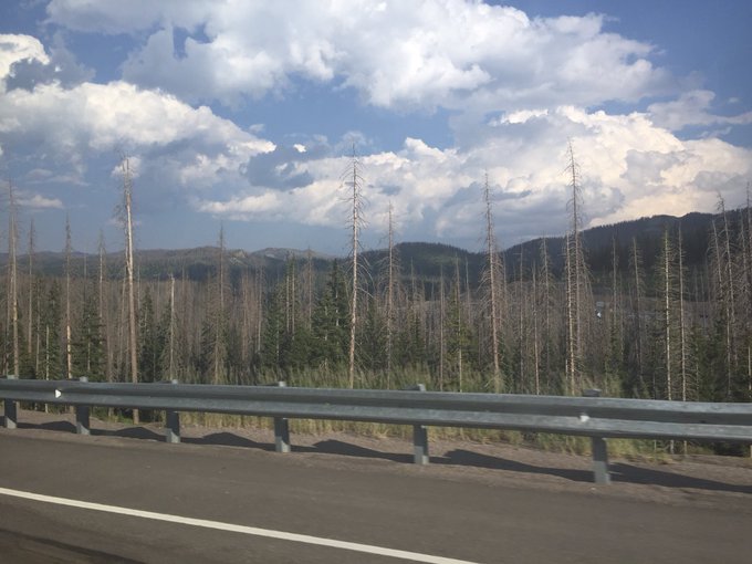 Colorado 😍 https://t.co/NbeZlzd5YJ<a href="/tag/ripcaleb"class="tags"><span>#ripcaleb</span></a><a href="/tag/ripcaleblogan"class="tags"><span>#ripcaleblogan</span></a>