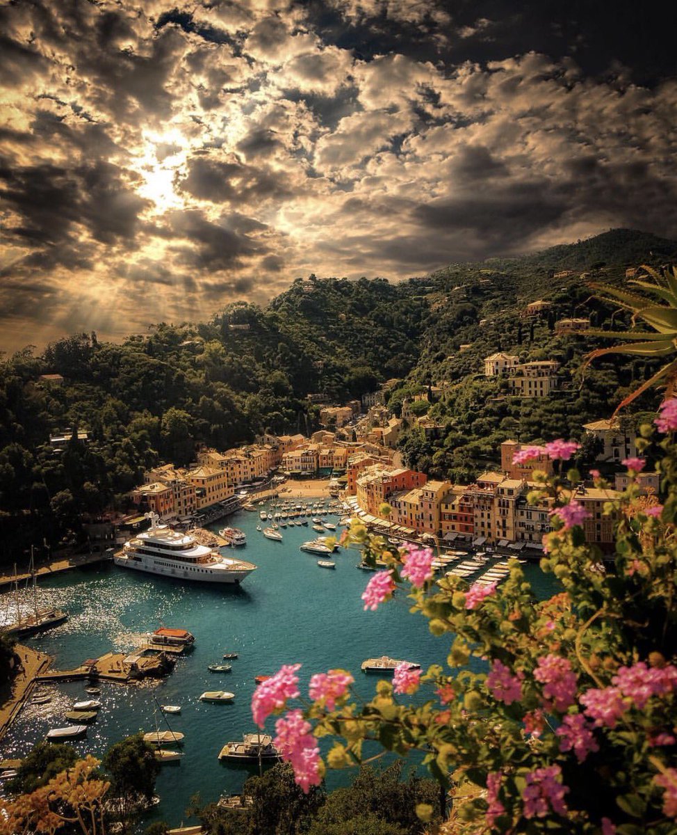 Wedge Too x Portofino 🌸 | Shot by Enzo Romano #Feadship